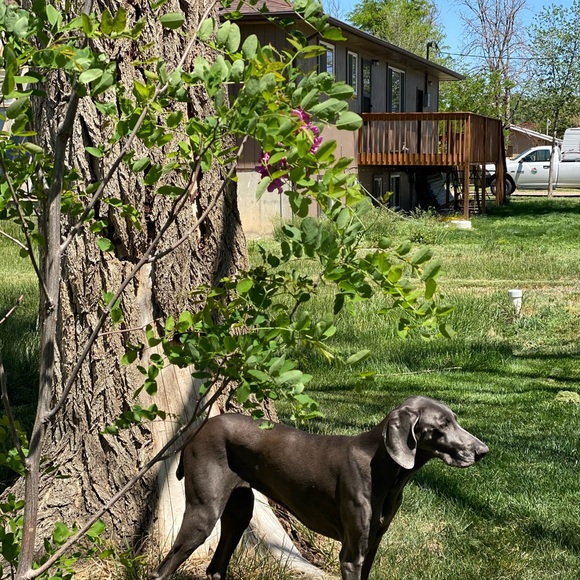 Meet your seller/buyer/clothes enthusiast - Picture 13 of 16